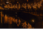 Feestelijke lichtjes in de bomen langs het water