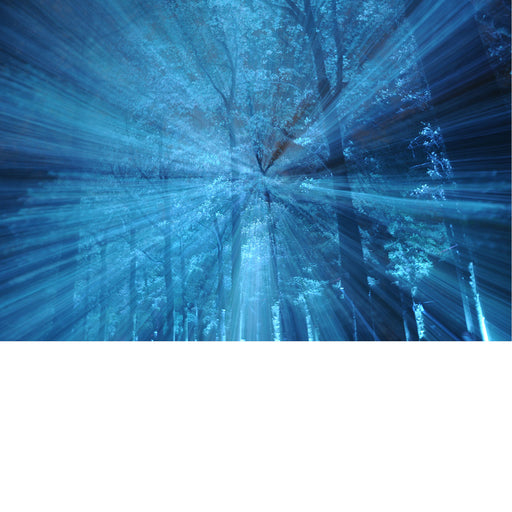 Uitzoomen tijdens de opname, gaf dit speciaal effect tijdens het lichtfestival in Eindhoven