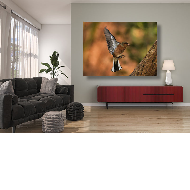 Fladderende vink