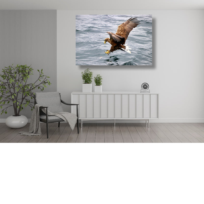 Zee-arend