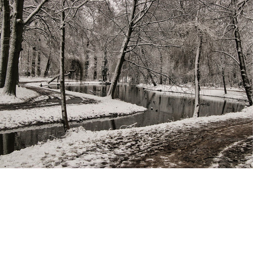 Park van Boom in de winter