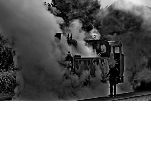 Stoomtrein in de stoom 