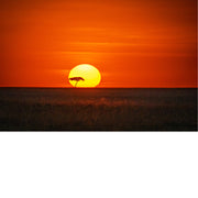 een romantische zonsondergang in Masaï Mara National Park in Kenya.