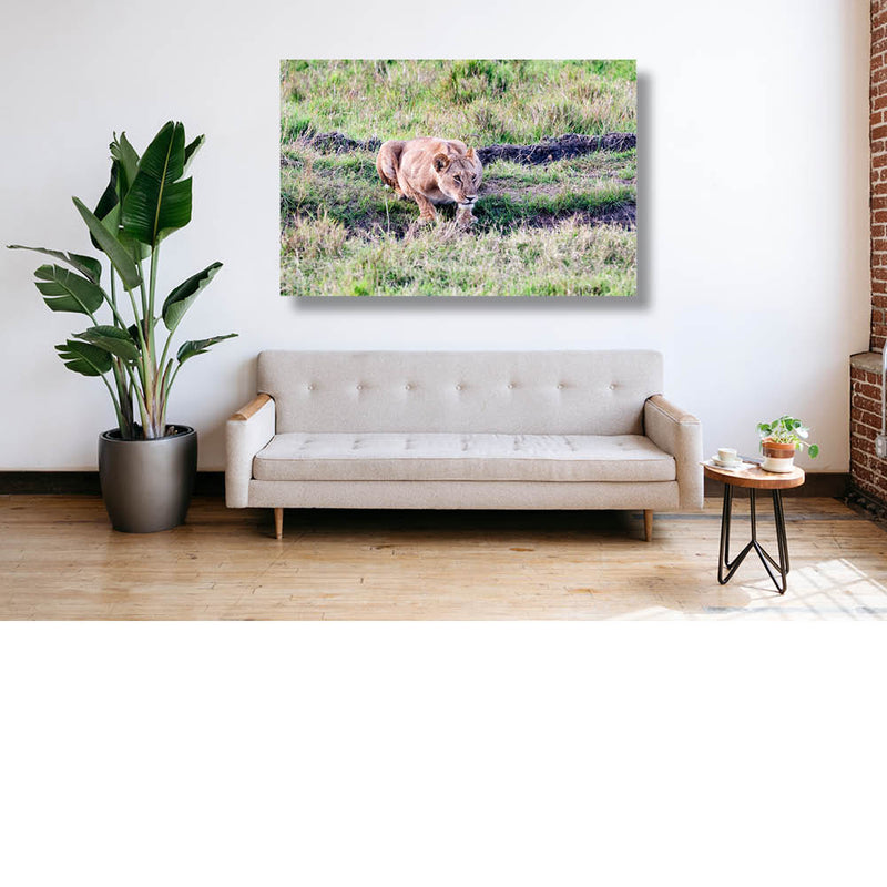 Leeuwin aan waterplas