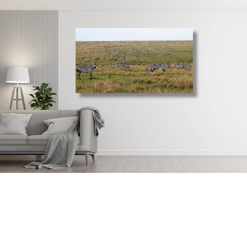 Landschap vol barcodes (zebra's)