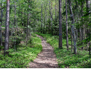 Rostock Duitsland boswandeling