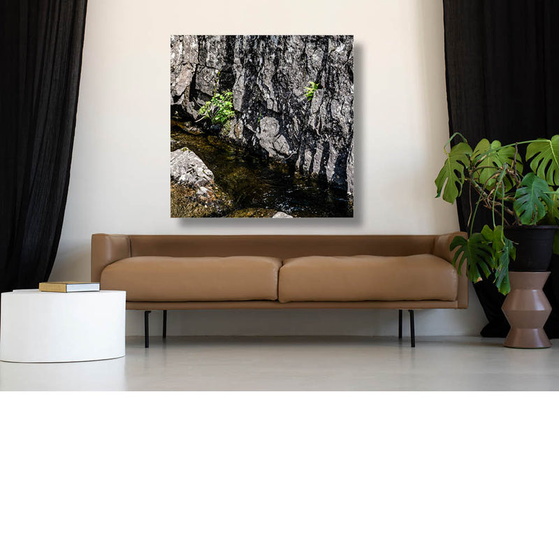 Overleven op de rotsen