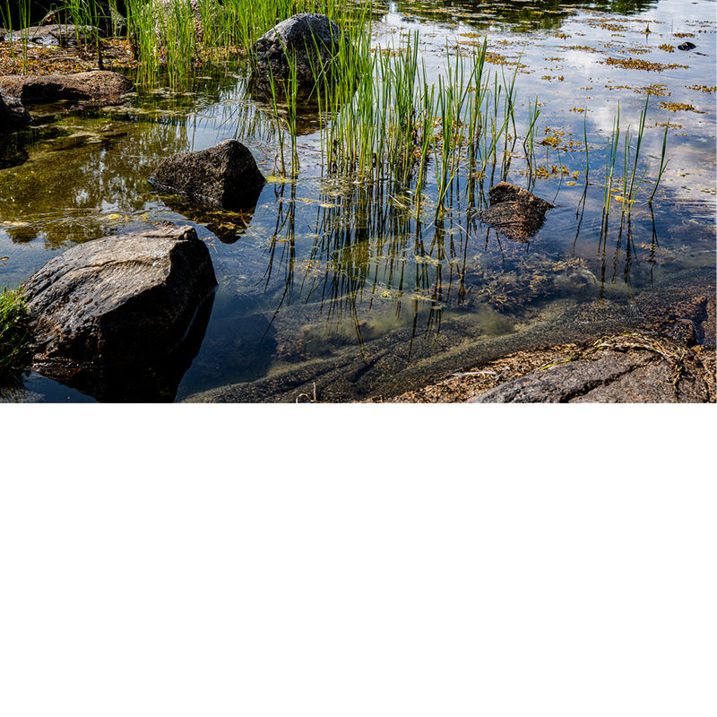 close-up van  helder water met gras en reflecties in Nättraby  Zweden