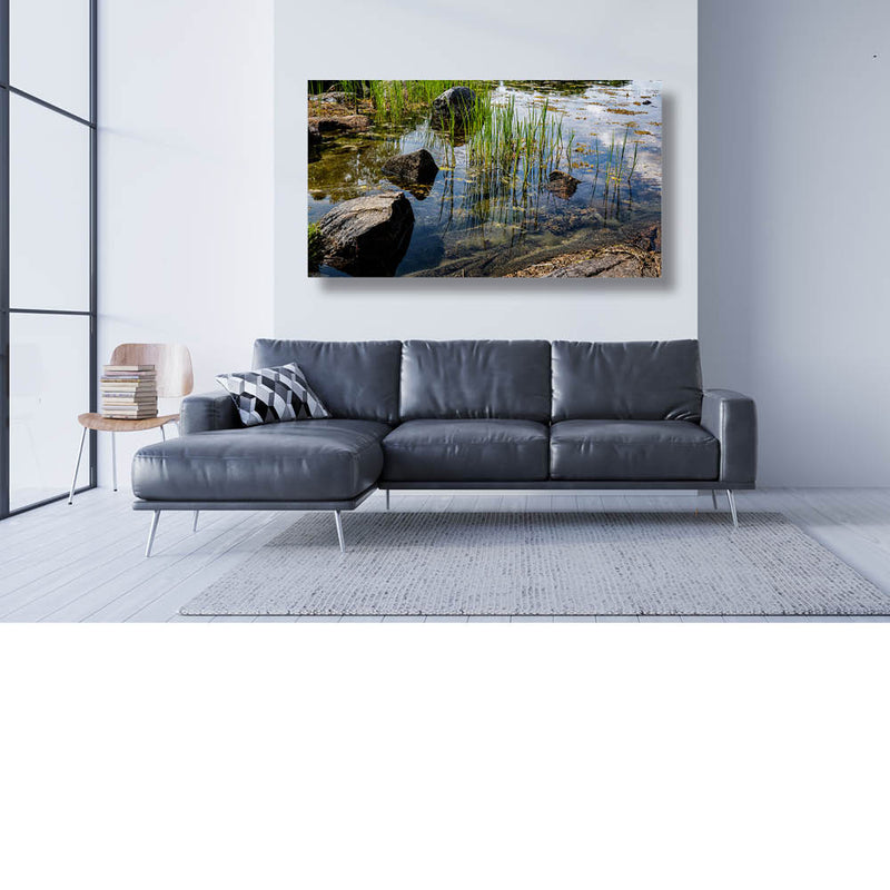 Wat is de natuur toch mooi