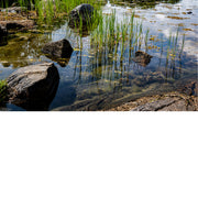 close-up van  helder water met gras en reflecties in Nättraby  Zweden