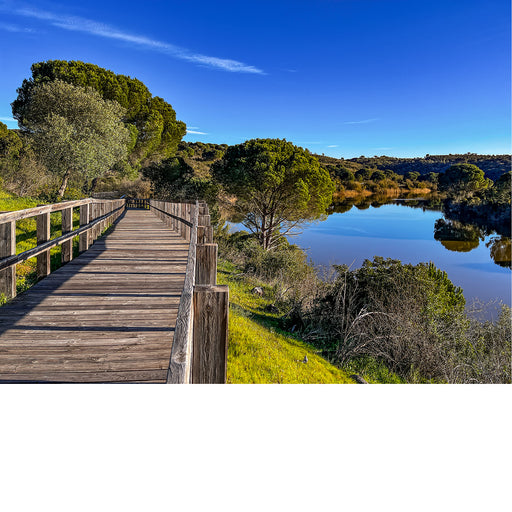 Vlonderpad langs de grensrivier in Mora Portugal