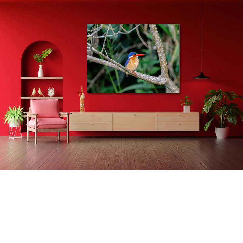 Ijsvogel (kingfisher)