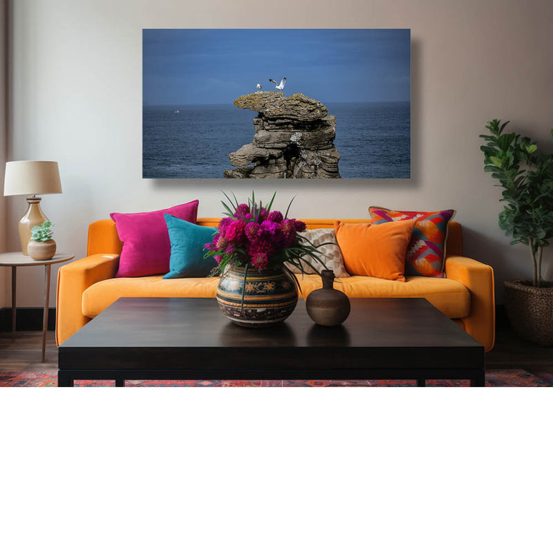 Meeuwen op de rotsen