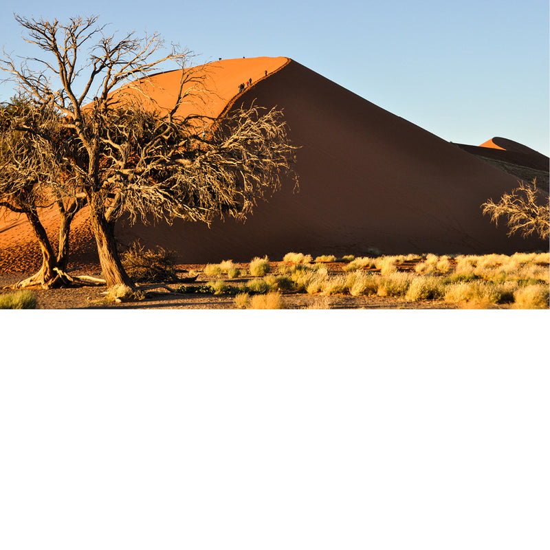 Dune 45 in de Sosusvlei in de Namibwoestijn in Namibië