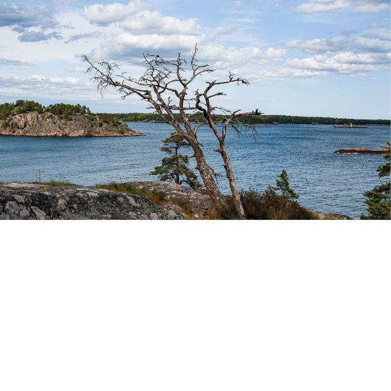 Uitzicht op het landschap in Oxelsund Zweden