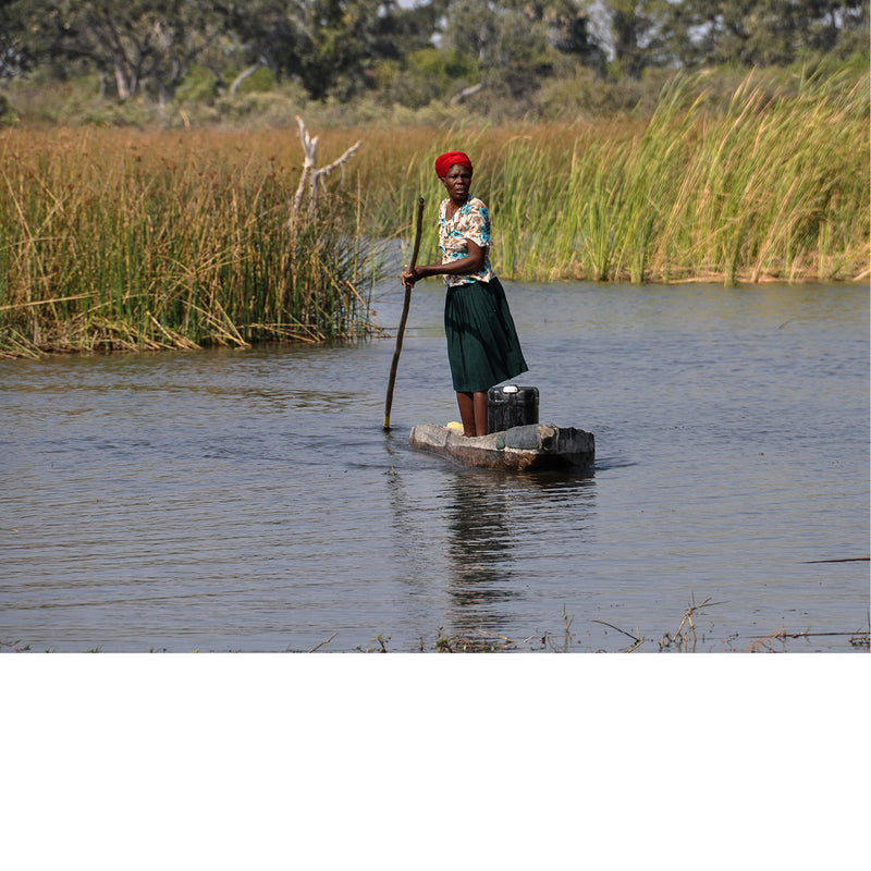 Prachtig beeld van een local met een mokoro in de okango Delta in Botswana.