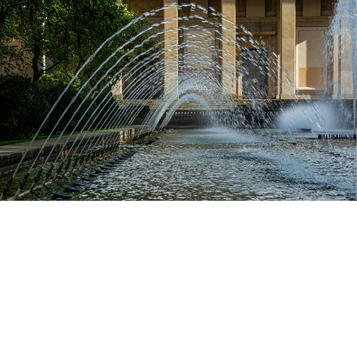 Meeuwen op de rotsen aan de kust in Peniche Portugal 