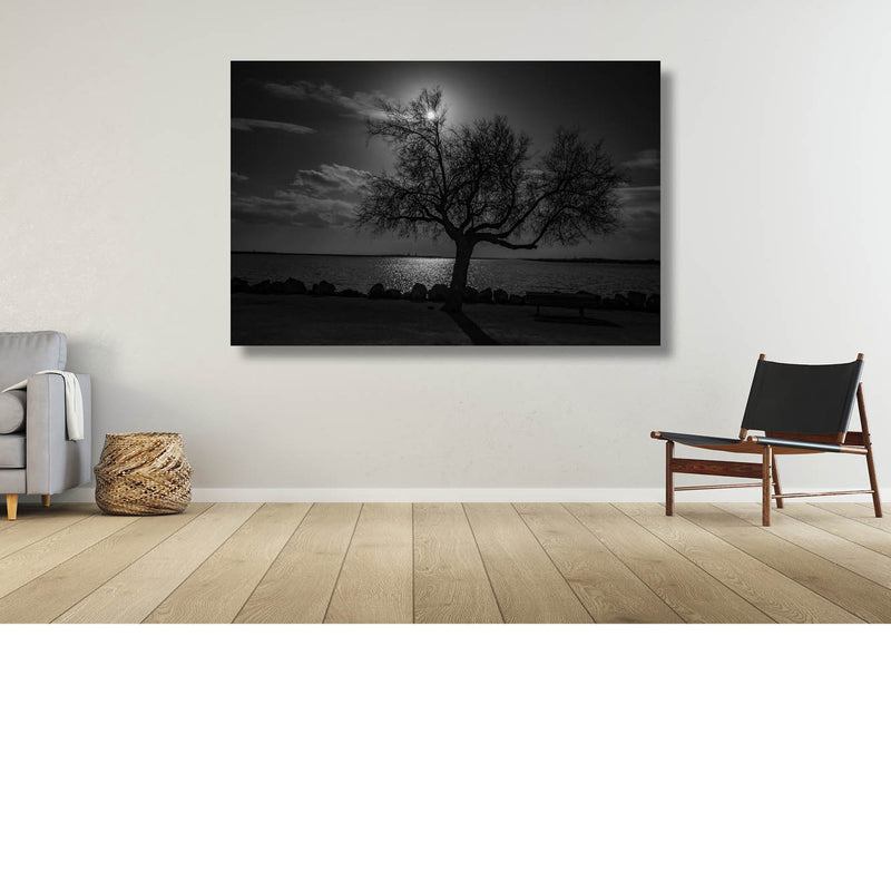Boom silhouet bij valavond