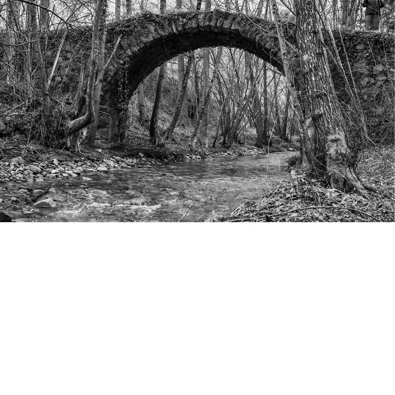 Deze brug lag op ons pad door de bossen van Viladrau.