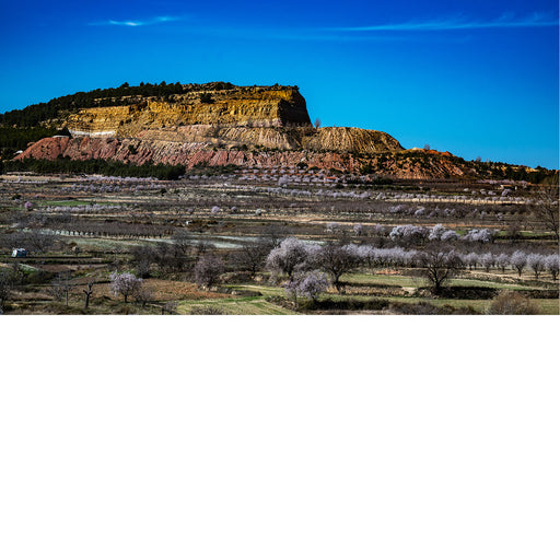 La Yesa (Spanje) ligt in een prachtig gebied. Hier hebben we uitzich op een berg met in het landschap veel amandelbomen die in bloei staan