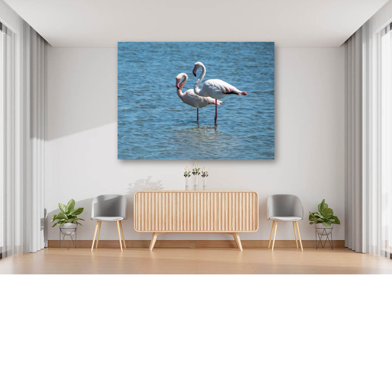 Flamingo's in het ondiepe water