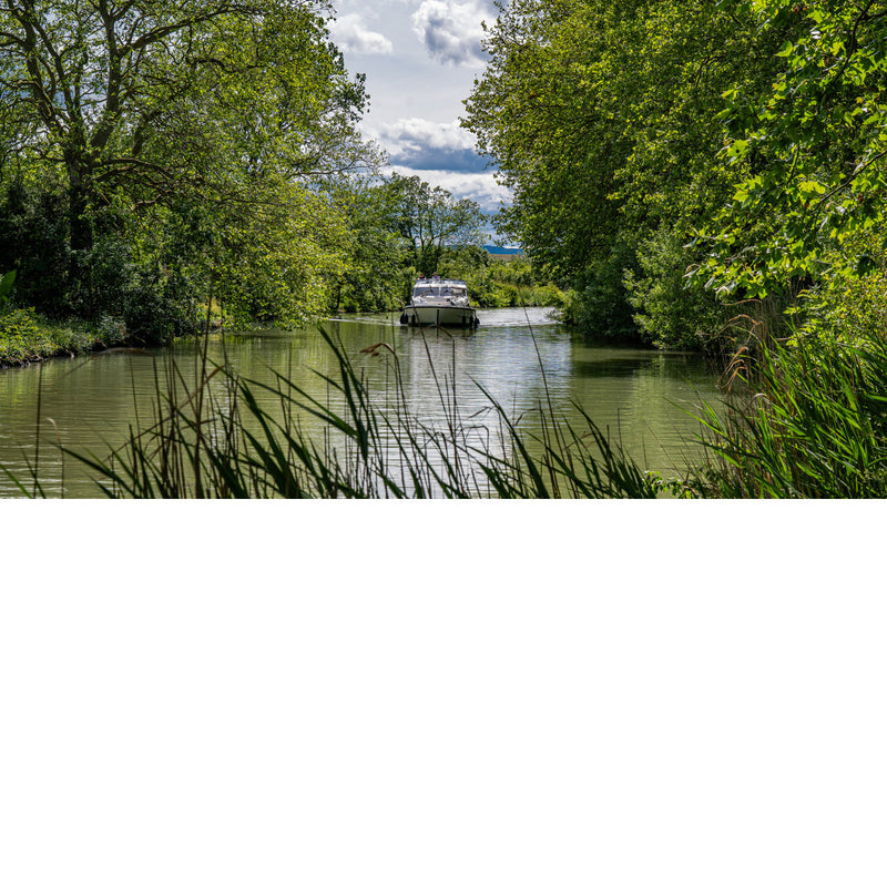 Plezierboot vaart over een kanaal tussen dichtbegroeide oevers, met rietstengels op de voorgrond en wolken boven de bomen.
