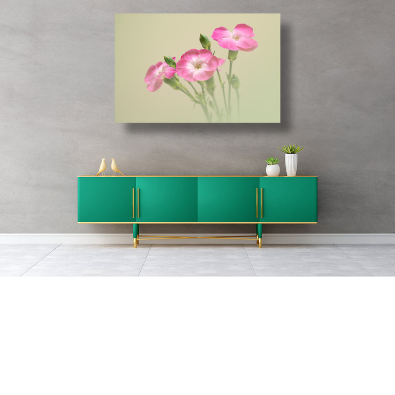 Roze bloemen