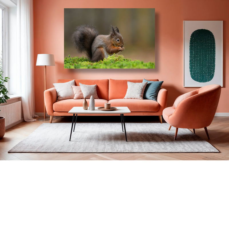 Eekhoorn geniet van een lekker nootje