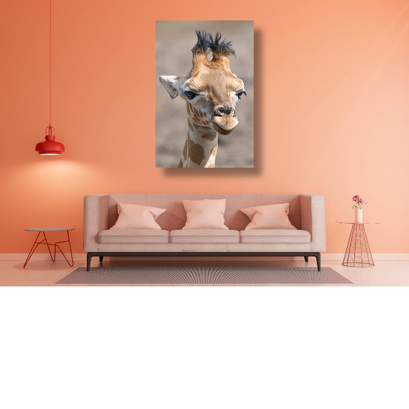 Jonge giraffe in close-up