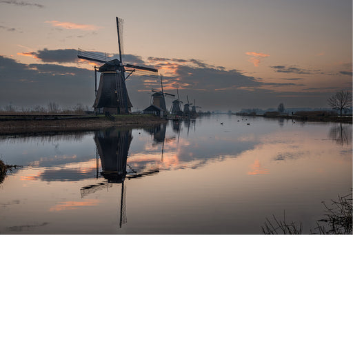 Molens van Kinderdijk weerspiegelen in het kalme water bij zonsopgang op een koude ochtend.