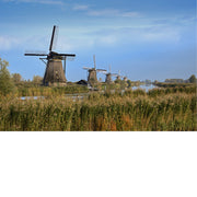 Rij Hollandse molens staat op een rij langs het water in Kinderdijk, met wuivend rietgras op de voorgrond onder een blauwe lucht met wolkensluiers.