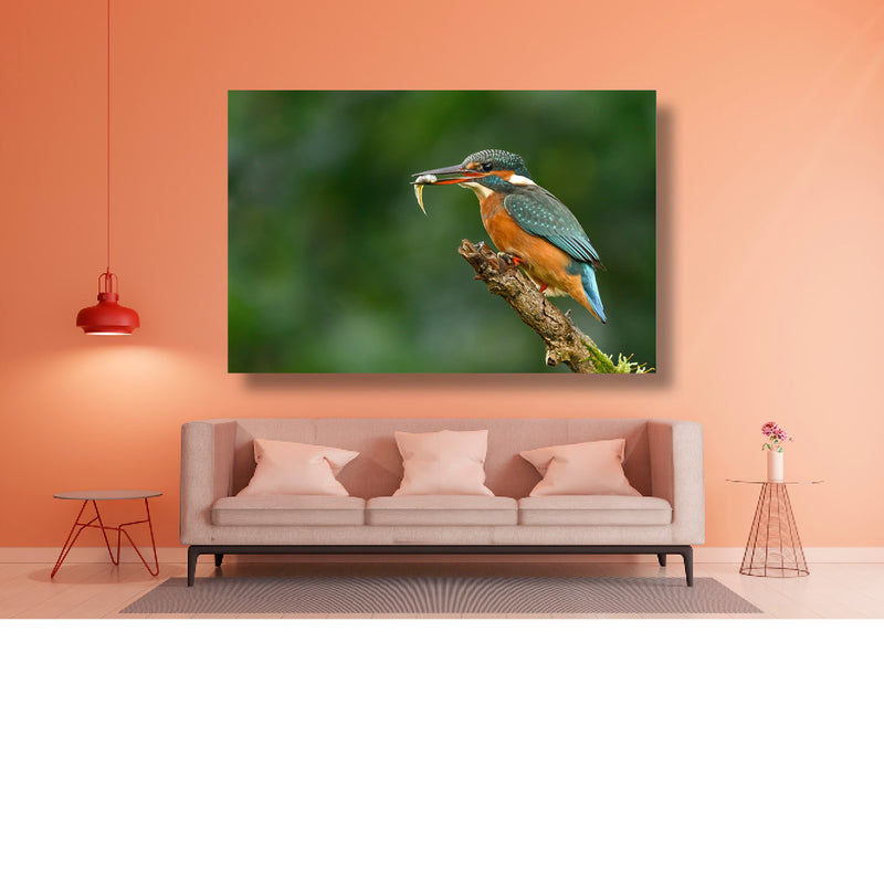 Ijsvogel met visje