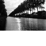 Damse Vaart bij avondlicht, met een rij bomen en huizen weerspiegeld in het kalme water.