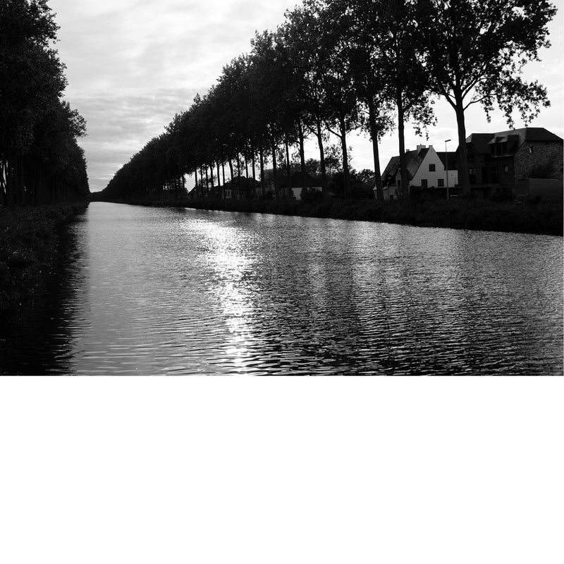 Damse Vaart bij avondlicht, met een rij bomen en huizen weerspiegeld in het kalme water.