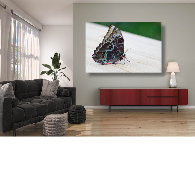 Blauwe Morpho