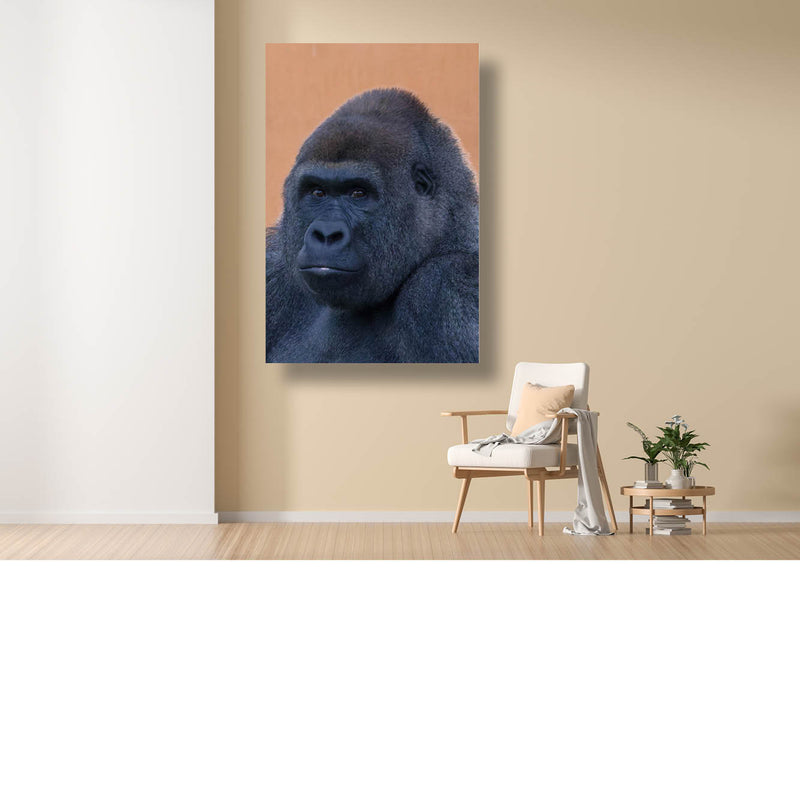 Zilverrug-gorilla