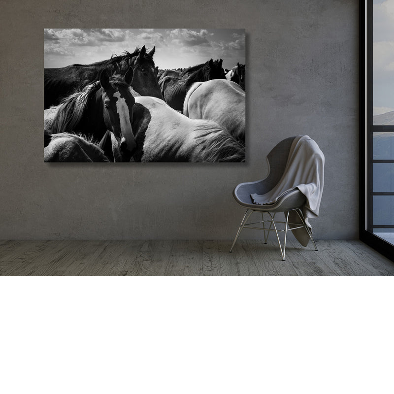 Verzamelde paardenkracht