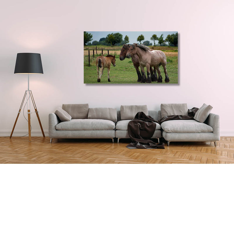 Kom achter ons schuilen