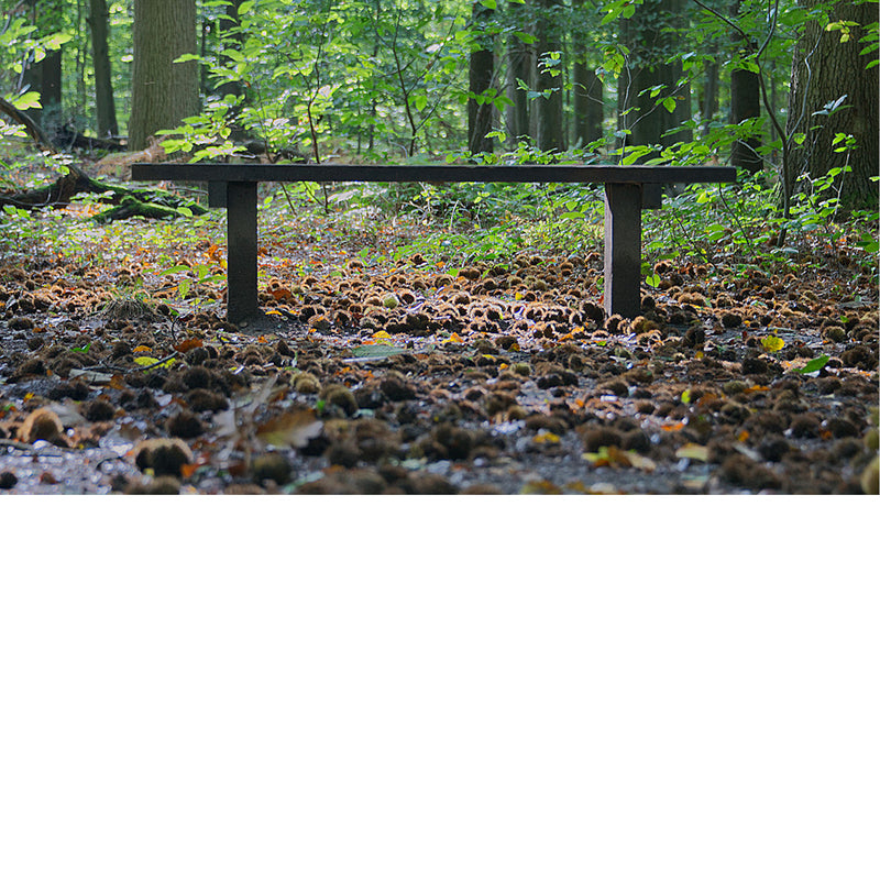 Bank in Buggenhout bos herft tafereel