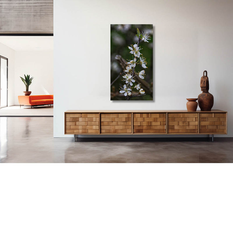 Dertien in een dozijn