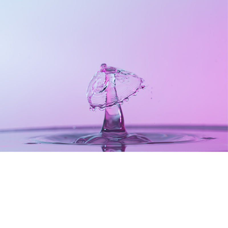 macro-opname van 2 druppels water die op elkaar botsen in roze tinten