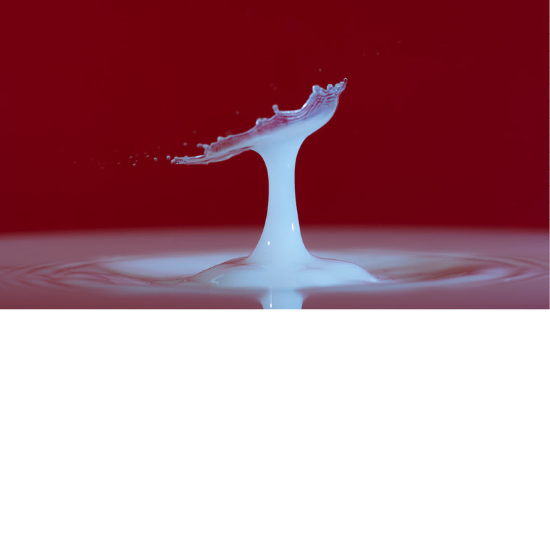 macro-opname van 2 druppels water die op elkaar botsen in melk in rode tinten