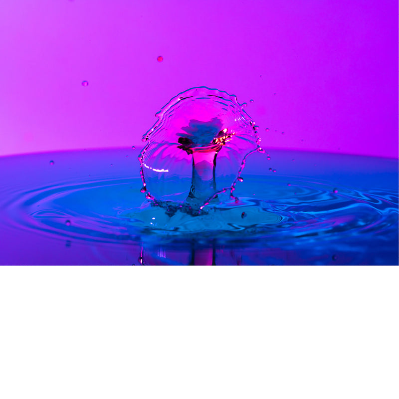 macro-opname van 2 druppels water die op elkaar botsen in roze met blauwe tinten