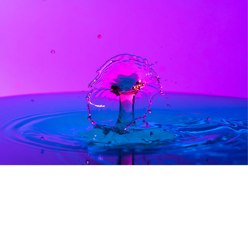 macro-opname van 2 druppels water die op elkaar botsen in roze met blauwe tinten