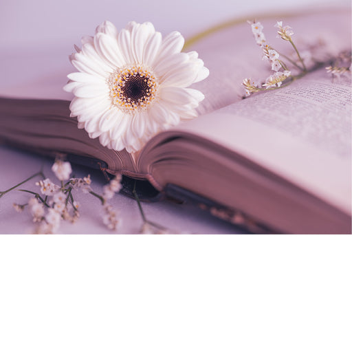 Stilleven van wetboek met witte margriet