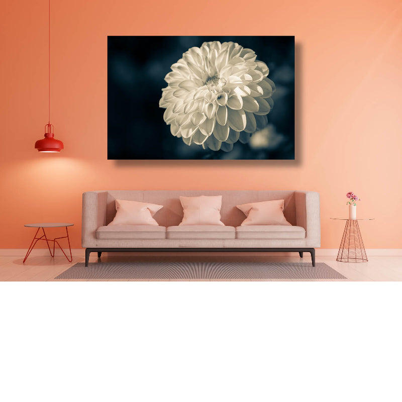 Zonder kleur, met kracht