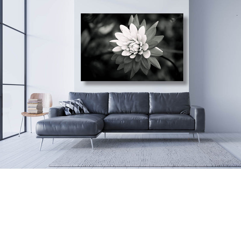 Tussen licht en donker