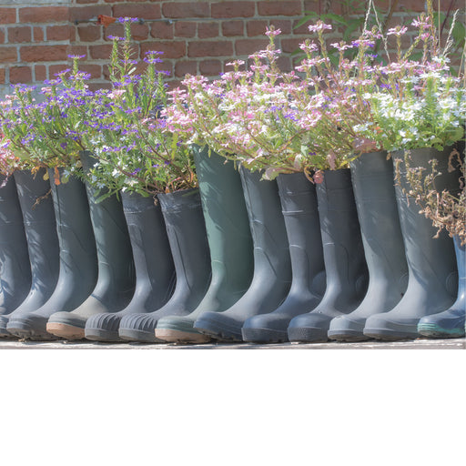 natuurfoto van een reeks regenlaarzen met bloemen