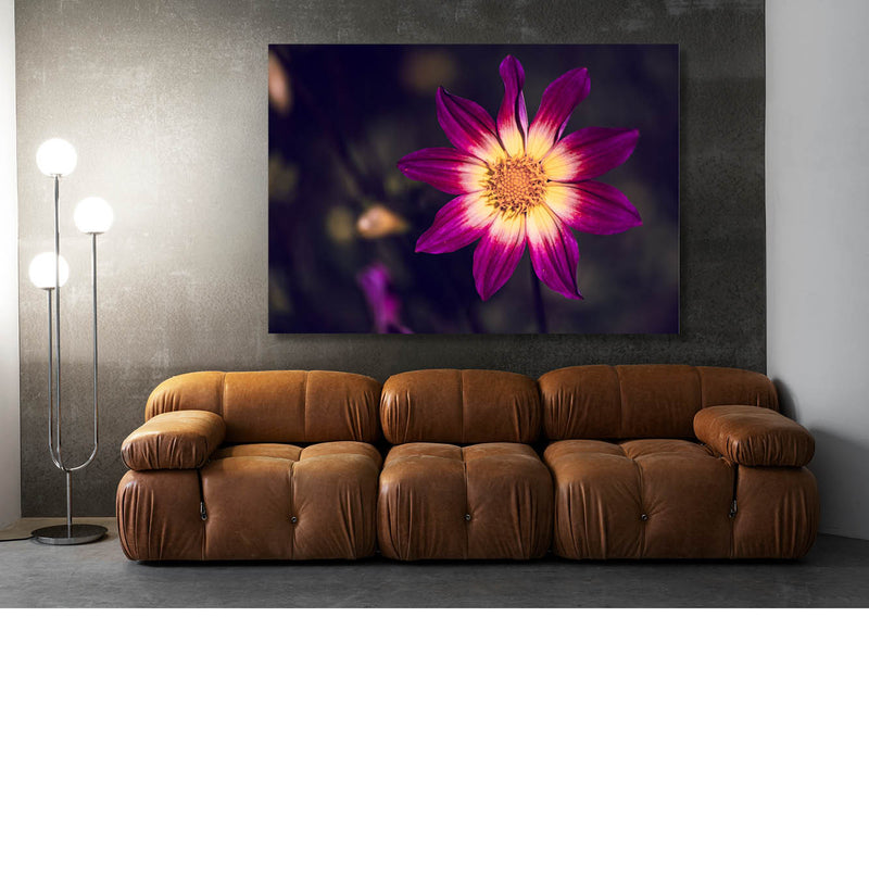 Wanneer geel paars fluistert