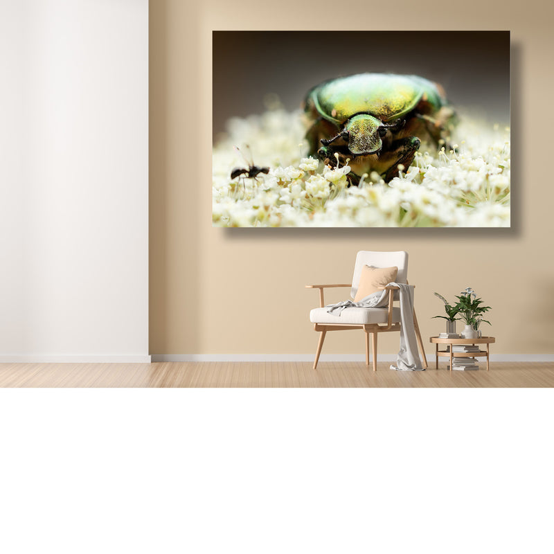 Insectenvriendschap